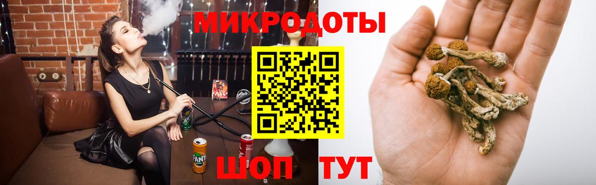 Сегежа  Галлюциногенные грибы Magic Shrooms  Вход с VPN 